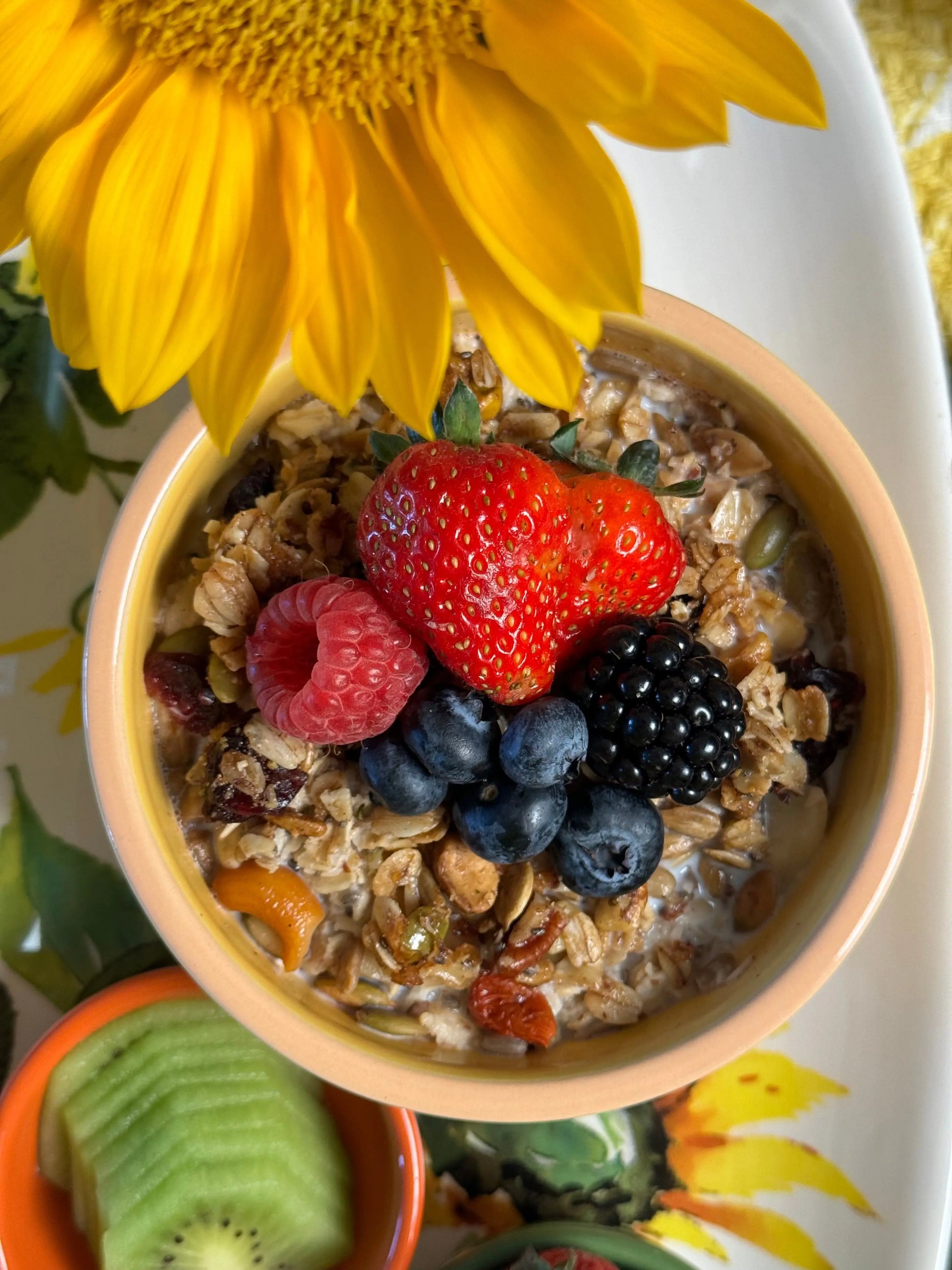 Big Deal Oatmeal - Organic superfood oatmeal blend with nuts, seeds and dried fruits in colorful breakfast setting