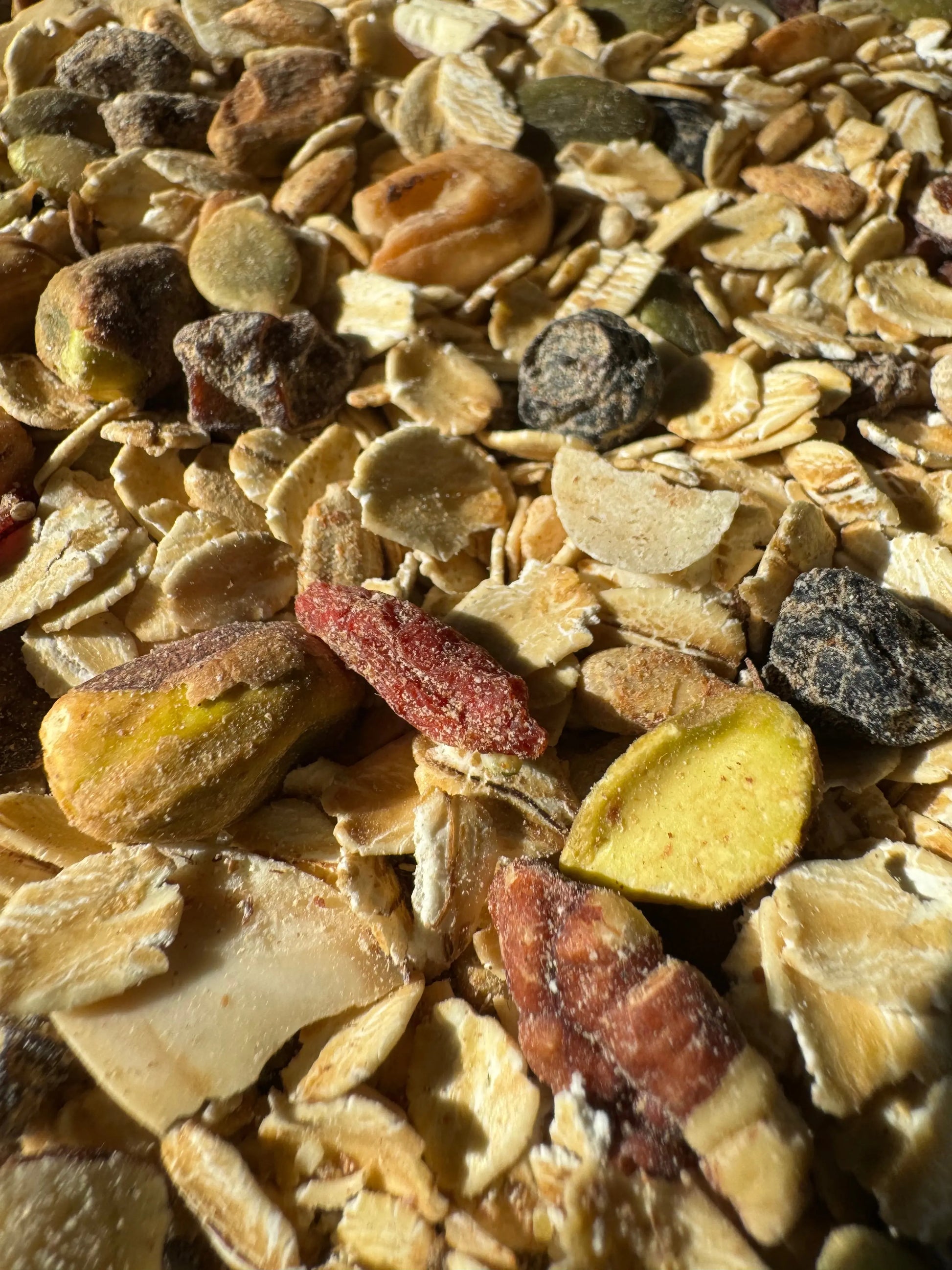Colorful close up of the organic superfood oatmeal blend full of nuts, seeds and dried fruits