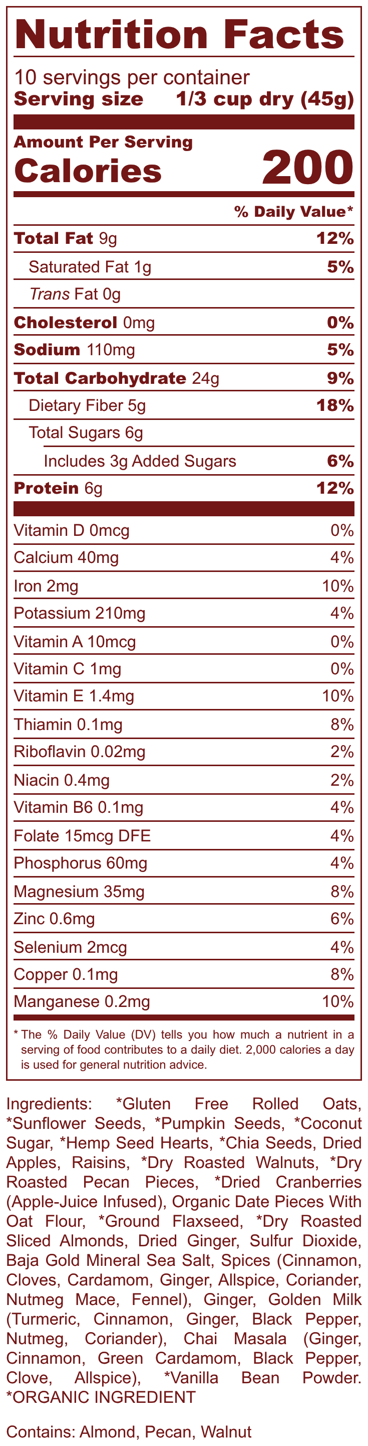 Gingerbread Spice Superfood Oatmeal Big Deal Oatmeal