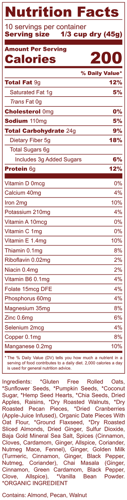 Gingerbread Spice Superfood Oatmeal Big Deal Oatmeal